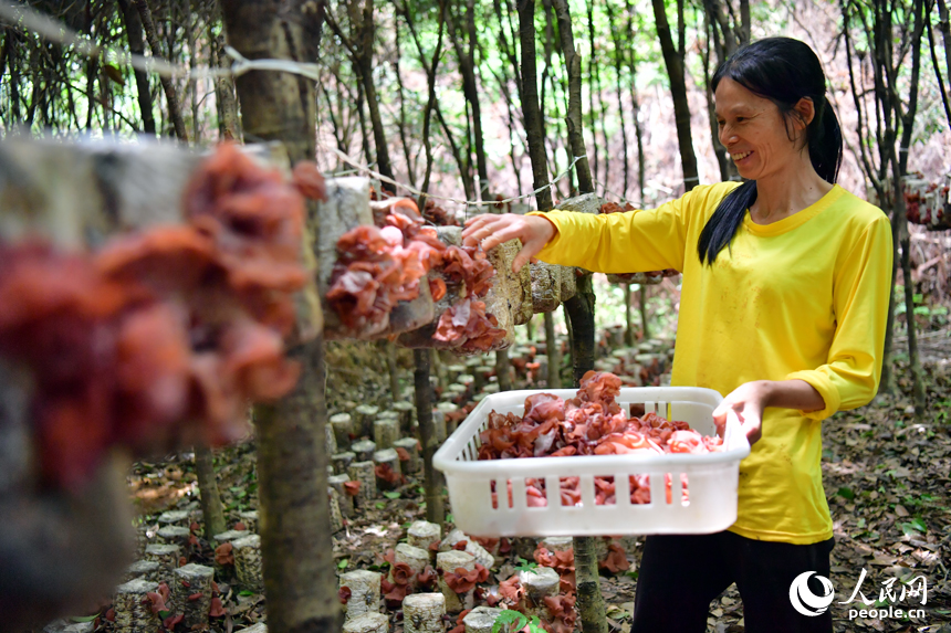 ??? ????? ?????? ?? ???? ??? ????? ?? ??(??? ?? ?? ??).