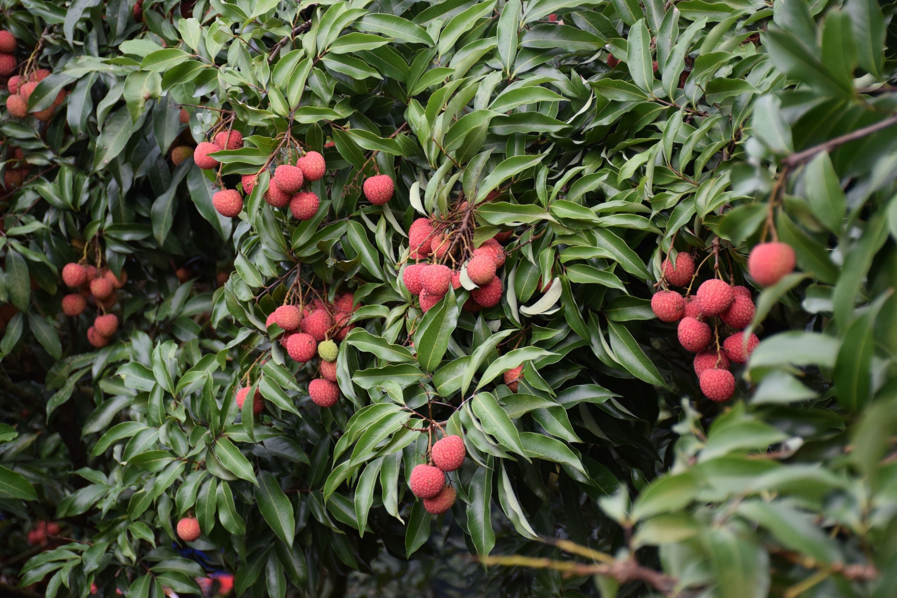 ??? ?? ?? ?? ???? '??? ??'? ???(??? ??? ??)