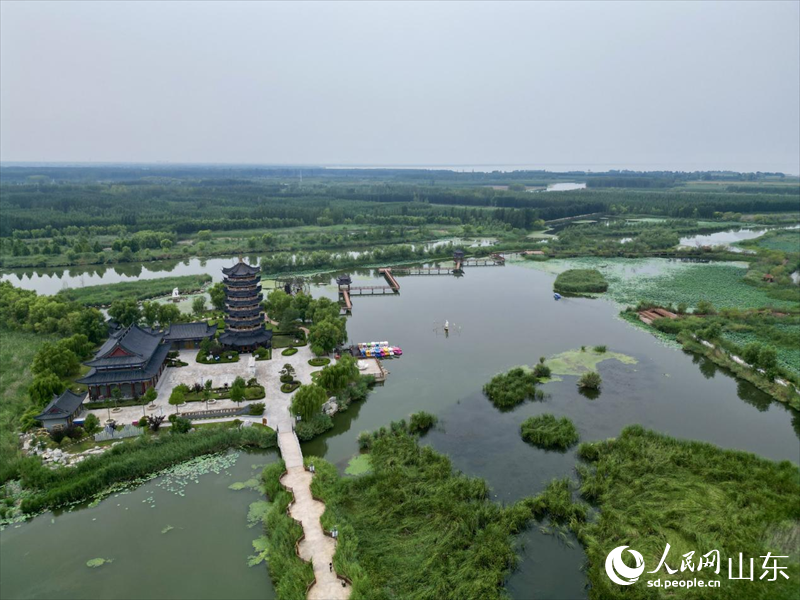 ?? ?? ?? ??, ??? ??? ?? ??????????(??? ??? ??).