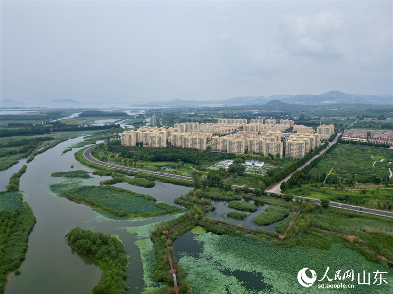 ??? ??? ????? ???????? ???? ????? ??? ????(??? ??? ??).