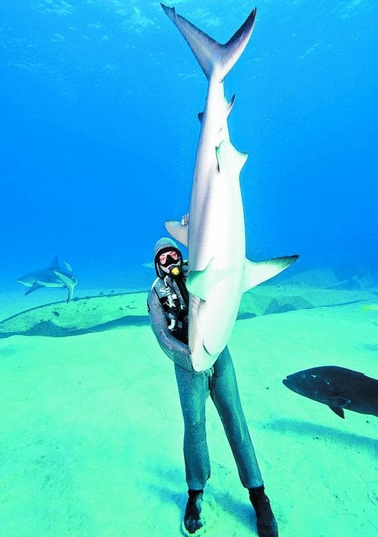 ?? ?? ? ??， ????? ????