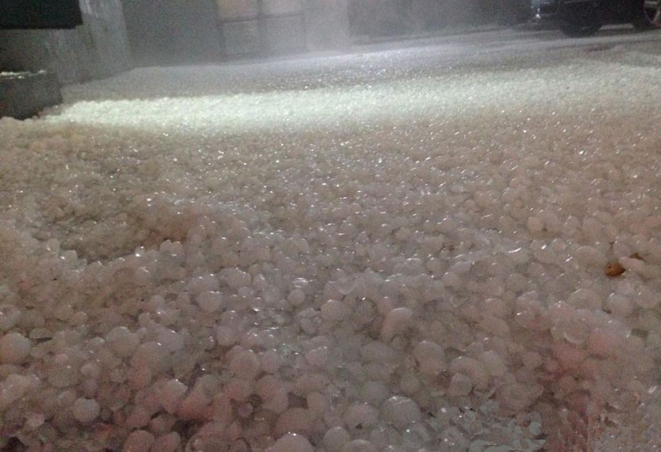 ???? ?????? ?? ?? ???