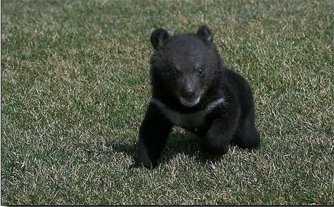 6?? ?? ??? ?, ???? '??'