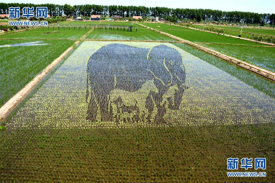 ?? ?? '3D???' ???? ??