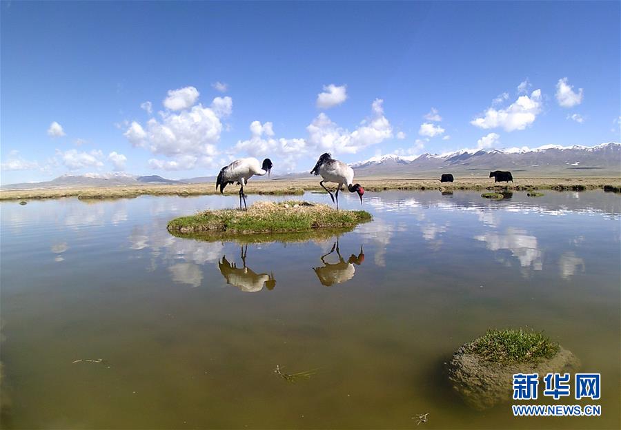 ?? ????? ???? ?????? ???? ??