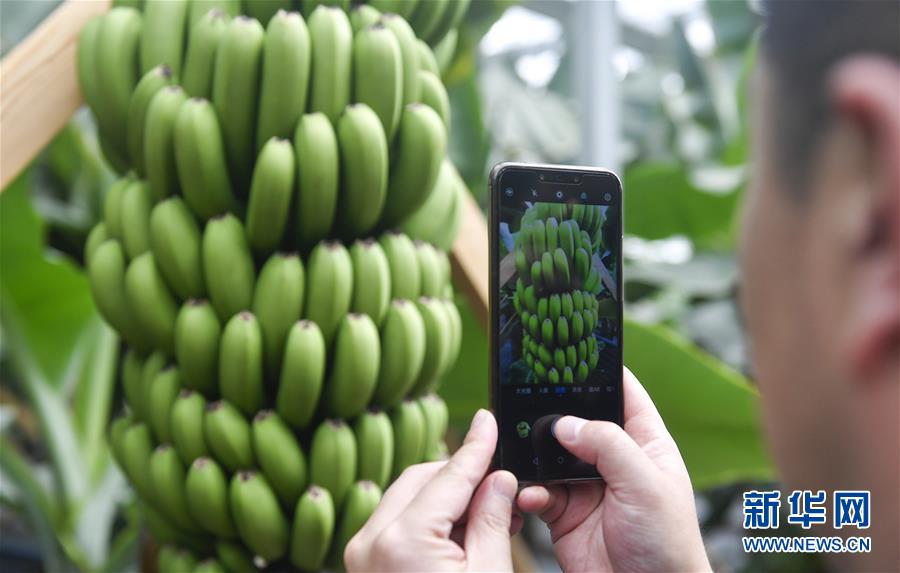 ?? ???????????? '??? ??'