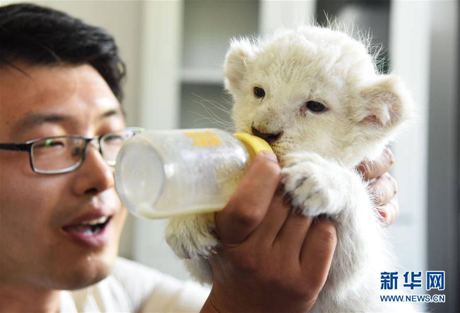 ?? ??????? ?? ??? ?? ? ??