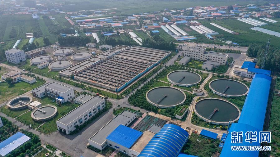 ?? ??: ???? ?? ?? ????